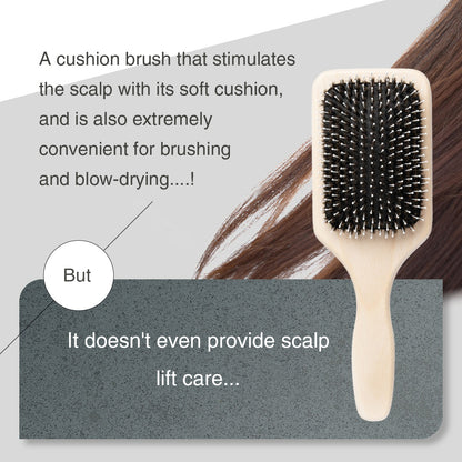 LuxRenew EMS Brush Air