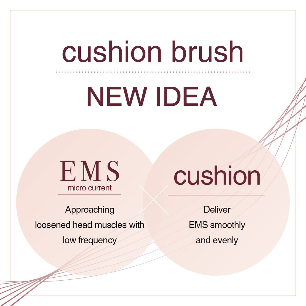 LuxRenew EMS Brush Air